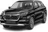 car type
