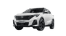 car type