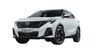 car type