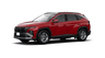 car type