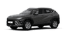 car type