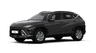 car type