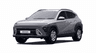 car type