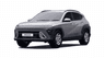 car type