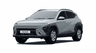 car type