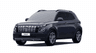 car type