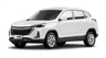 car type