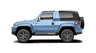 car type