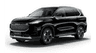 car type