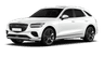 car type