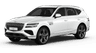 car type
