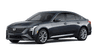 car type